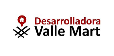 DESARROLLADORA 398X195